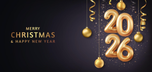 Merry Christmas And Happy New Year 2026!
